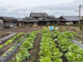 detached 熊本県阿蘇市黒川1542-1、1533