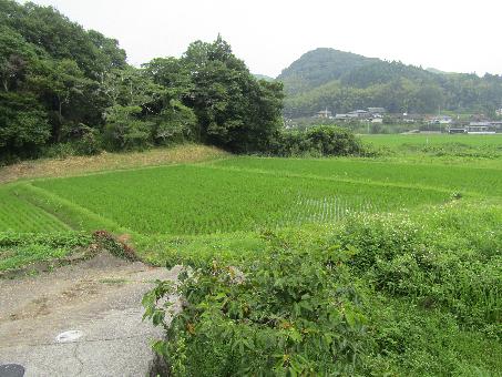 detached 大分県杵築市山香町大字吉野渡