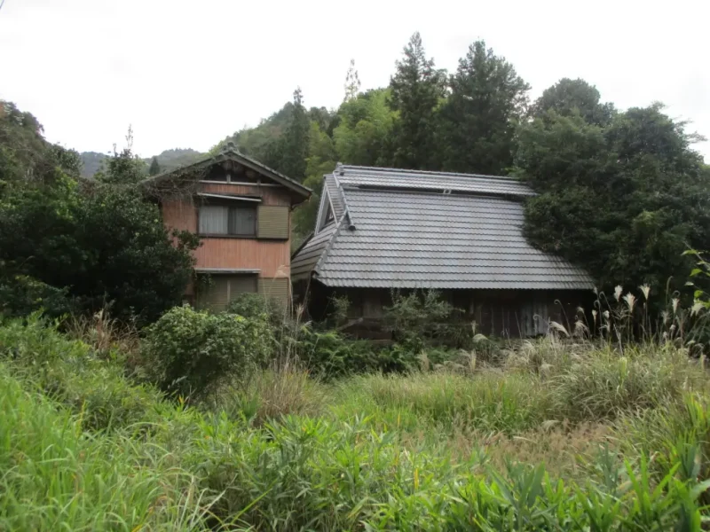  兵庫県丹波篠山市日置